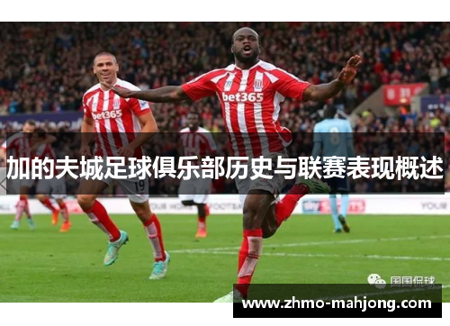 加的夫城足球俱乐部历史与联赛表现概述