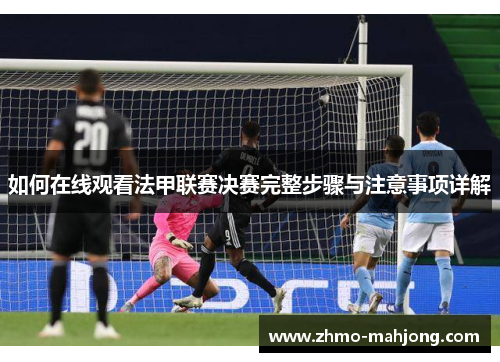 如何在线观看法甲联赛决赛完整步骤与注意事项详解