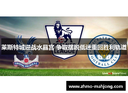 莱斯特城迎战水晶宫 争取摆脱低迷重回胜利轨道