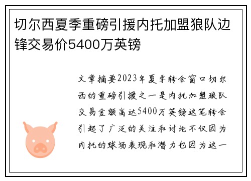 切尔西夏季重磅引援内托加盟狼队边锋交易价5400万英镑